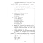 Fundamentos de Acupuntura y Moxibustión de China | Sabiduría y Medicina Tradicional | ILMO - Image 5