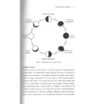 Empoderamiento a través de la Brujería | Sabiduría y Poder Wicca | Editorial EMU - Image 9