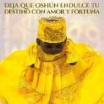 Conga de Oshún Femenina | Amor y Dulzura | Santería y Palo - Image 6