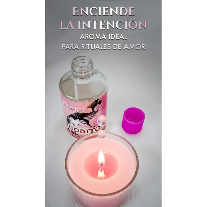 Esencia de Chuparrosa | Atracción de Amor y Fidelidad - Image 3