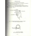 Localización de los Puntos Acupunturales | Sabiduría y Medicina Tradicional | ILMO - Image 4