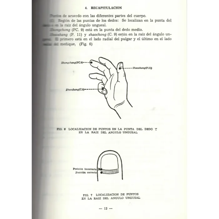 Localización de los Puntos Acupunturales | Sabiduría y Medicina Tradicional | ILMO - Image 4