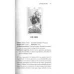Cómo leer el Tarot | Una Guía Simple y Práctica | Editorial EMU - Image 5