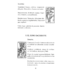 El Gran Libro del Tarot de Marsella | Simbolismo Tradicional y Guía | Ediciones VIMAN - Image 5