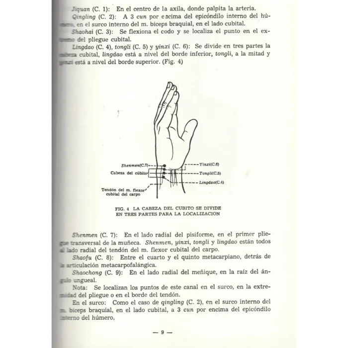 Localización de los Puntos Acupunturales | Sabiduría y Medicina Tradicional | ILMO - Image 2