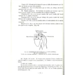 Localización de los Puntos Acupunturales | Sabiduría y Medicina Tradicional | ILMO - Image 7