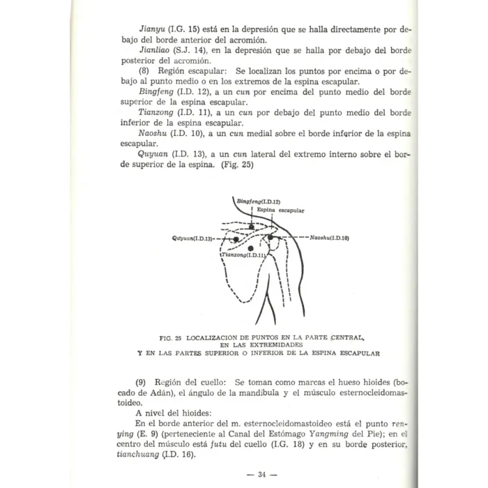 Localización de los Puntos Acupunturales | Sabiduría y Medicina Tradicional | ILMO - Image 7