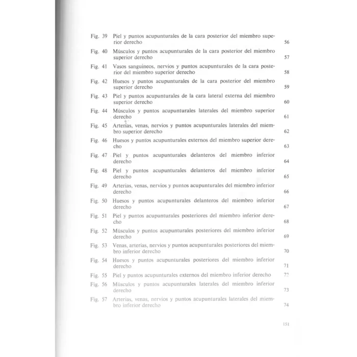 Atlas de los Puntos Acupunturales | Medicina Tradicional y Anatomía | ILMO - Image 4