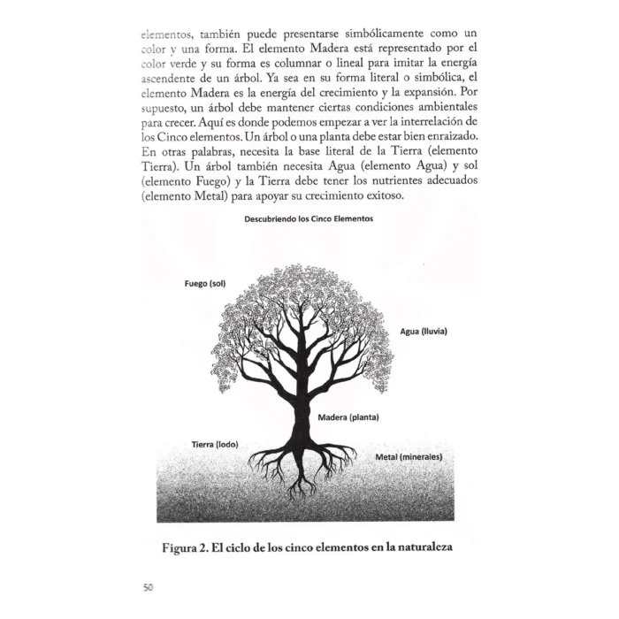 Elemento Perdido: Fuerza Oculta | Editorial EMU | Esoterismo - Image 7