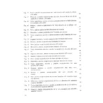 Atlas de los Puntos Acupunturales | Medicina Tradicional y Anatomía | ILMO - Image 3