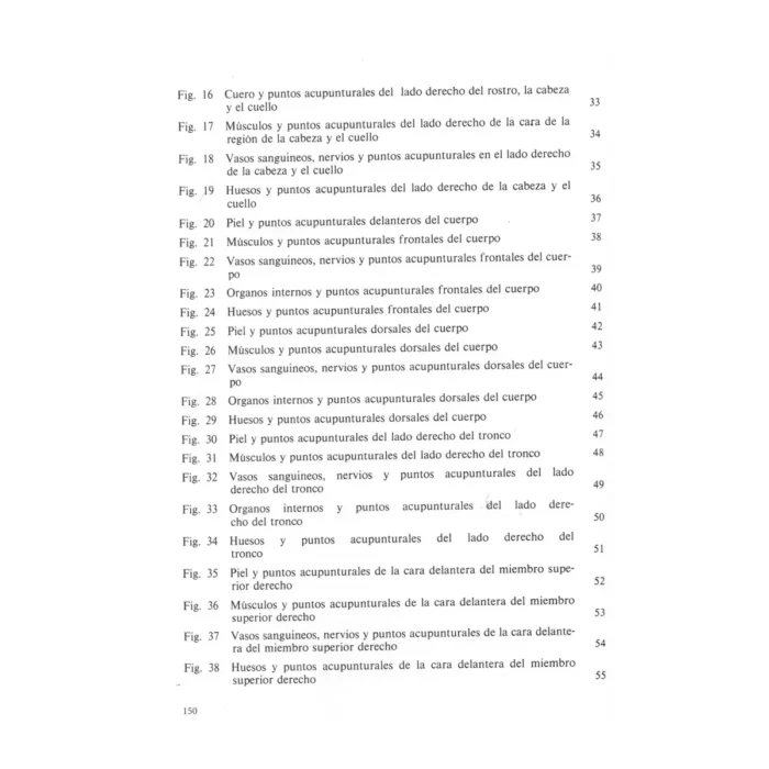 Atlas de los Puntos Acupunturales | Medicina Tradicional y Anatomía | ILMO - Image 3