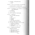 Fundamentos de Acupuntura y Moxibustión de China | Sabiduría y Medicina Tradicional | ILMO - Image 3