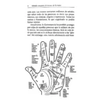 Método Completo de Lectura de la Mano | Sabiduría y Quiromancia | RTM Ediciones - Image 4