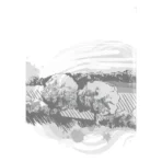 Naturaleza | Mensajes Sagrados y Conexión Espiritual | Editorial EMU - Image 6