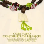 Mazo Ogbe Yono Elefante | Protección y Sabiduría - Image 3