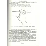 Localización de los Puntos Acupunturales | Sabiduría y Medicina Tradicional | ILMO - Image 6