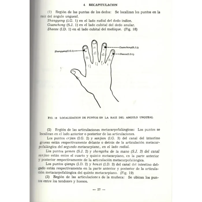 Localización de los Puntos Acupunturales | Sabiduría y Medicina Tradicional | ILMO - Image 6