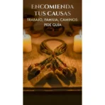 Mazo de Orula Nigeriano con Caracoles | Ifá y Santería Tradicional - Image 5