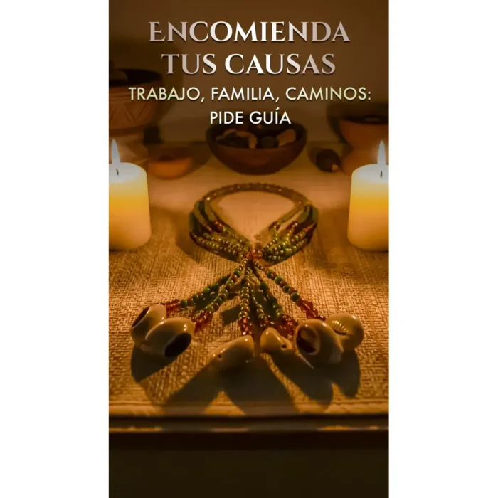 Mazo de Orula Nigeriano con Caracoles | Ifá y Santería Tradicional - Image 5