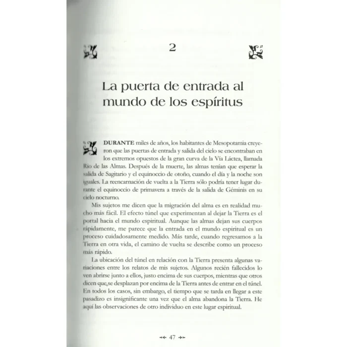 El Viaje de las Almas | Michael Newton | Editorial EMU - Image 8