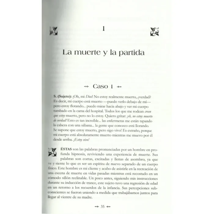 El Viaje de las Almas | Michael Newton | Editorial EMU - Image 5