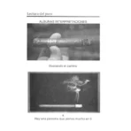 Lectura del Puro | Guía Maestra de Interpretación y Magia - Image 6