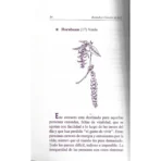 Remedios Florales de Bach | Sabiduría Natural para las Emociones | Editorial Tomo - Image 7