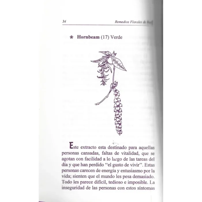 Remedios Florales de Bach | Sabiduría Natural para las Emociones | Editorial Tomo - Image 7