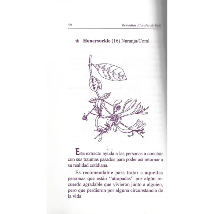 Remedios Florales de Bach | Sabiduría Natural para las Emociones | Editorial Tomo - Image 6
