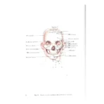 Atlas de los Puntos Acupunturales | Medicina Tradicional y Anatomía | ILMO - Image 9