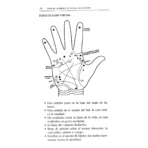 Método Completo de Lectura de la Mano | Sabiduría y Quiromancia | RTM Ediciones - Image 6